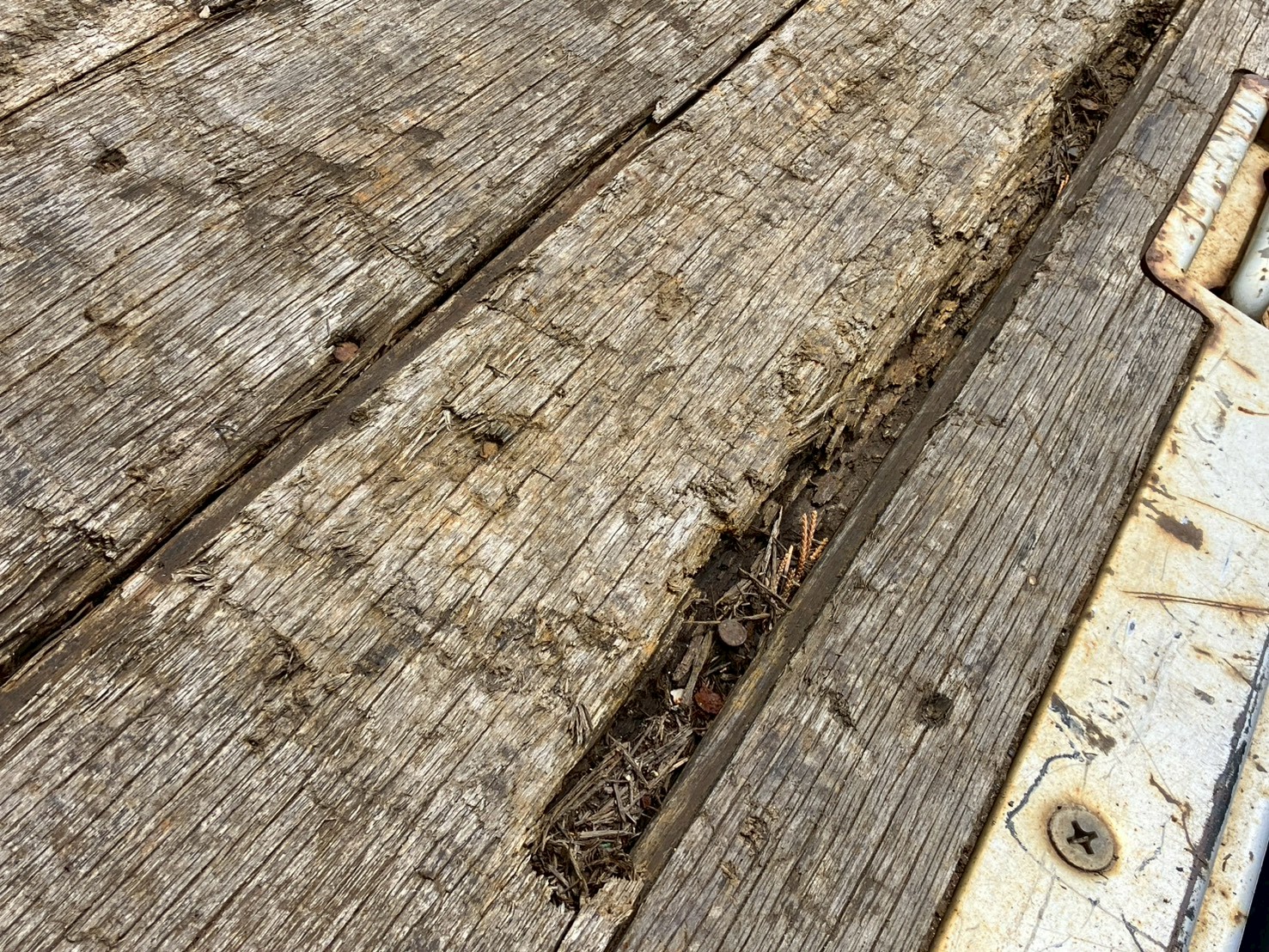三菱ふそう ファイター
